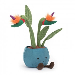 Jellycat Amuseable Bird of Paradise 38 CM X 17 CM | 26738RWST