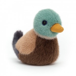 Jellycat Birdling Mallard 10 CM X 7 CM | 45793PJEC