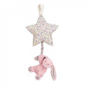 Jellycat Blossom Tulip Bunny Star Musical Pull 28 CM X 19 CM | 73065WJUT