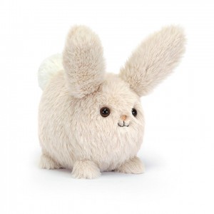 Jellycat Caboodle Bunny 8 CM X 10 CM | 41589MLKP