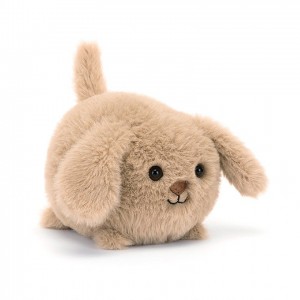 Jellycat Caboodle Puppy 10 CM X 11 CM | 10468LEDS