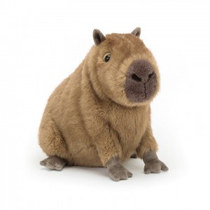 Jellycat Clyde Capybara 21 CM X 24 CM | 52638EDKI