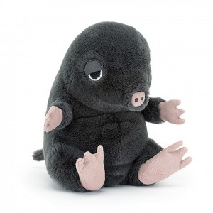 Jellycat Cuddlebud Morgan Mole 16 CM X 10 CM | 76410TDSI