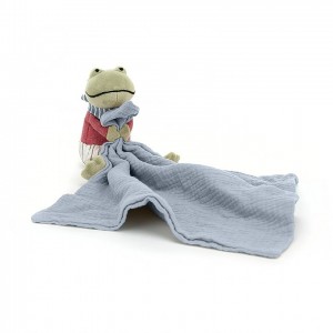 Jellycat Little Rambler Frog Soother 30 CM X 13 CM | 27185HLNK