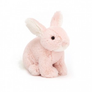 Jellycat Minilop Rose Bunny 10 CM X 7 CM | 25390QHDF