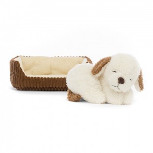 Jellycat Napping Nipper Dog 10 CM X 14 CM | 59302AVSY