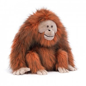 Jellycat Oswald Orangutan 34 CM X 30 CM | 52648VPBZ