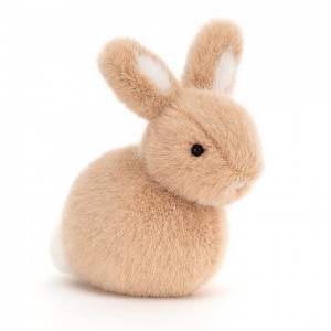 Jellycat Pebblet Honey Bunny 10 CM X 6 CM | 21496KHYT