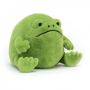 Large Jellycat Ricky Rain Frog 25 CM X 30 CM | 47902PGDY
