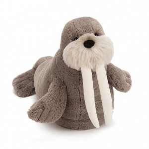 Large Jellycat Willie Walrus 30 CM X 40 CM | 68407XVEQ
