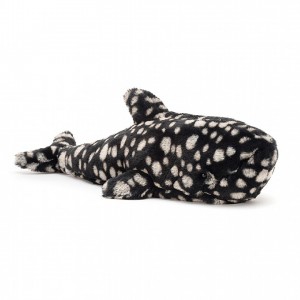 Little Jellycat Pebbles Whale Shark 34 CM X 10 CM | 91560PIQO