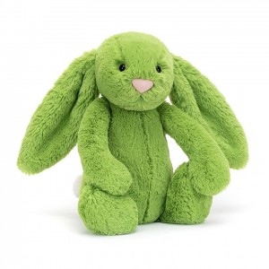 Medium Jellycat Bashful Apple Bunny 31 CM X 12 CM | 24196TWDR