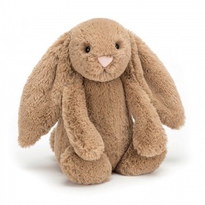 Medium Jellycat Bashful Biscuit Bunny 31 CM X 12 CM | 17534ABNI