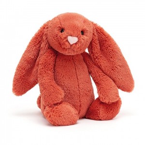 Medium Jellycat Bashful Cinnamon Bunny 31 CM X 12 CM | 80627HTVN