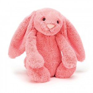 Medium Jellycat Bashful Coral Bunny 31 CM X 12 CM | 93605ETQW