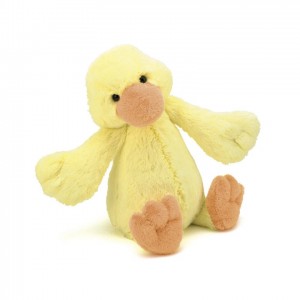 Medium Jellycat Bashful Duckling 31 CM | 38914SUBV