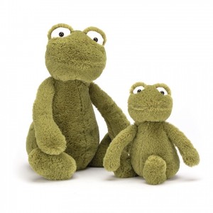 Medium Jellycat Bashful Frog 31 CM X 12 CM | 23164CSBJ