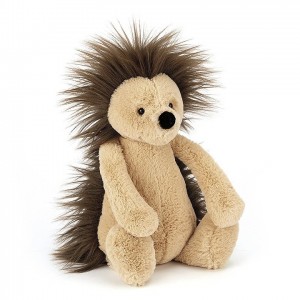 Medium Jellycat Bashful Hedgehog 31 CM | 25049JLKB
