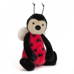 Medium Jellycat Bashful Ladybug 31 CM | 34278CAPF