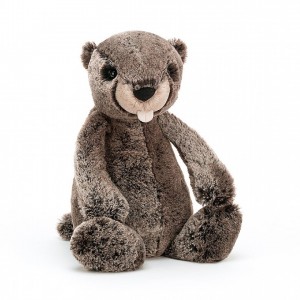 Medium Jellycat Bashful Marmot 31 CM X 12 CM | 75428LTJK