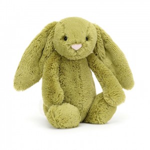 Medium Jellycat Bashful Moss Bunny 31 CM X 12 CM | 14270VGSZ