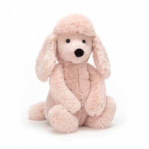 Medium Jellycat Bashful Poodle 31 CM X 12 CM | 74916QJZR