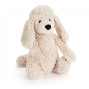 Medium Jellycat Bashful Poodle Pup 31 CM X 12 CM | 83705YPAT