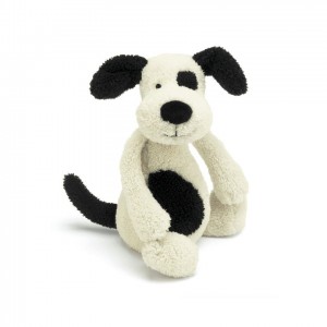 Medium Jellycat Bashful Puppy Chime 31 CM | 46593JGYB