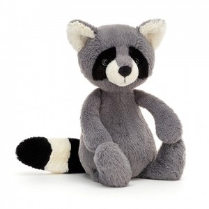 Medium Jellycat Bashful Raccoon 28 CM X 12 CM | 27615UBOJ