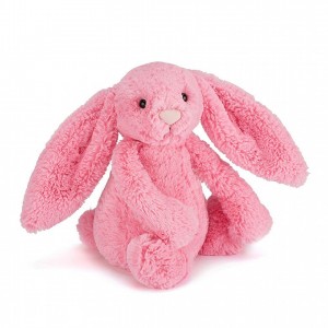 Medium Jellycat Bashful Sorbet Bunny 31 CM X 12 CM | 36092ITZQ