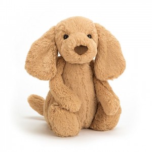 Medium Jellycat Bashful Toffee Puppy 31 CM X 12 CM | 71389RNBX