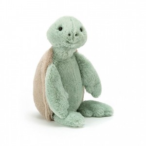 Medium Jellycat Bashful Turtle 31 CM X 12 CM | 30897XPEB