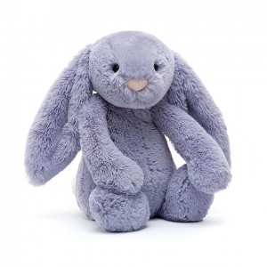 Medium Jellycat Bashful Viola Bunny 31 CM X 12 CM | 40158IVTC