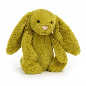 Medium Jellycat Bashful Zingy Bunny 31 CM X 12 CM | 91356XISP