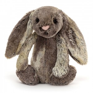 Medium Jellycat Personalised Bashful Cottontail Bunny 31 CM X 12 CM | 85613YFRB