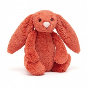 Small Jellycat Bashful Cinnamon Bunny 18 CM X 9 CM | 80567BZMG