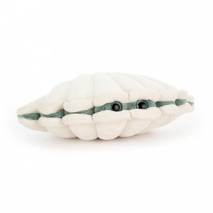 Small Jellycat Chloe Clam 13 CM X 20 CM | 25804JIAE