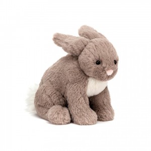 Small Jellycat Riley Rabbit Beige 16 CM X 11 CM | 18520WUQV