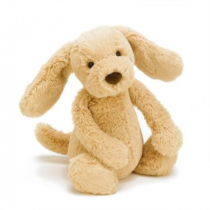 Tiny Jellycat Bashful Toffee Puppy 13 CM | 25398NUAF