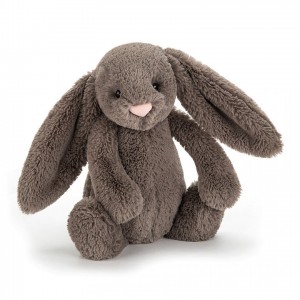 Tiny Jellycat Bashful Truffle Bunny 13 CM X 6 CM | 45670BDWY